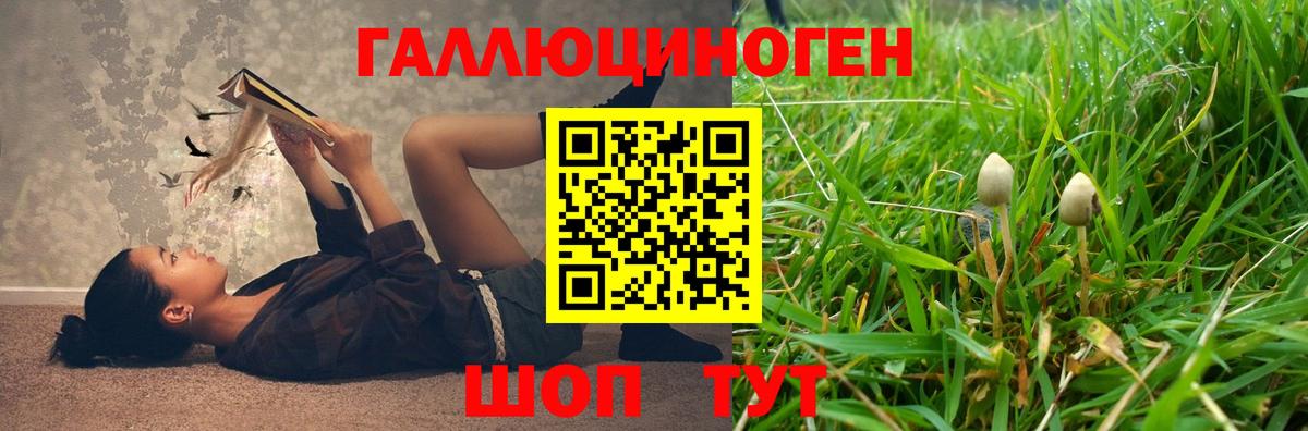 Псилоцибиновые грибы ЛСД Рыбинск